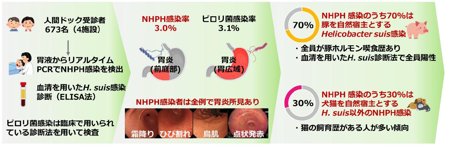 発表のポイント